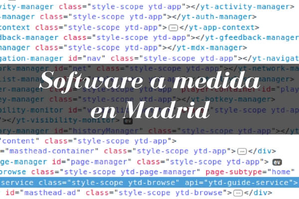 Desarrollo de Software a medida en Madrid por Profesionales Titulados